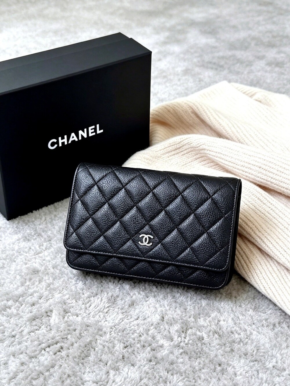 Chanel Wallet on Chain Quilted Bag
